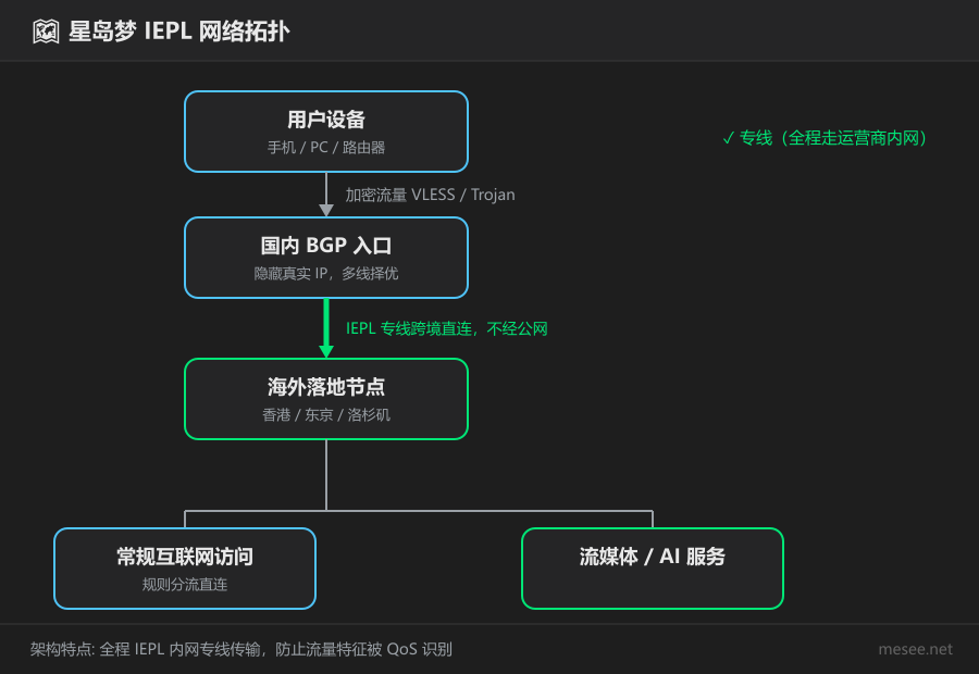 星岛梦 IEPL 网络拓扑结构示意图